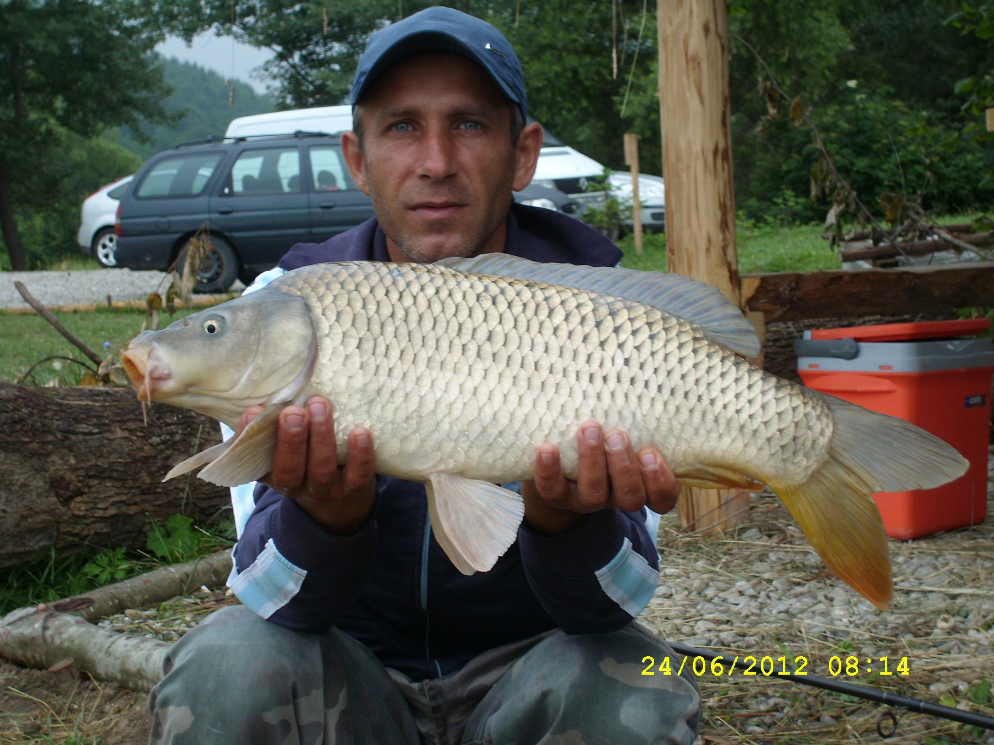 Balta Valea Morii Budila - SL270006.JPG